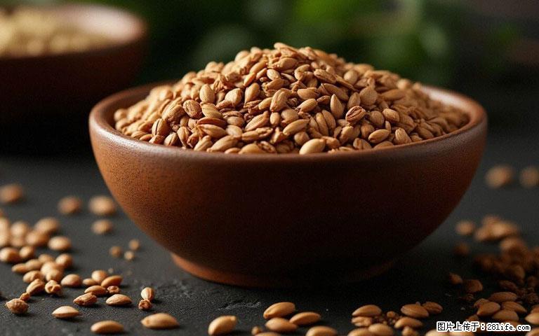 这三苦是三高“克星”，心血管干净不易堵！每天吃一点，指标慢慢降下来~ - 乌鲁木齐生活资讯 - 乌鲁木齐28生活网 xj.28life.com