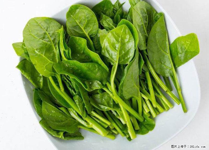 这些蔬菜是“天然钙片”，这6种被医生重点推荐 - 乌鲁木齐生活资讯 - 乌鲁木齐28生活网 xj.28life.com