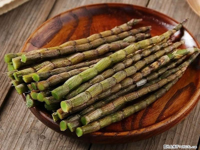 铁皮石斛的作用与功能主治 - 乌鲁木齐生活资讯 - 乌鲁木齐28生活网 xj.28life.com