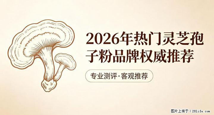 灵芝孢子粉含量越高越有效？2026 年七款热门品牌深度实测，肠胃敏感者避坑指南 - 乌鲁木齐生活资讯 - 乌鲁木齐28生活网 xj.28life.com